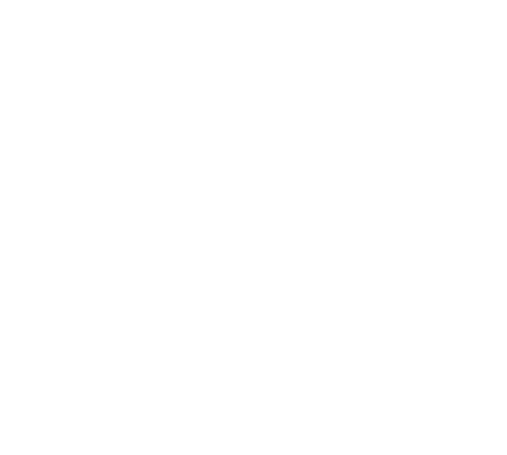 skill monkey